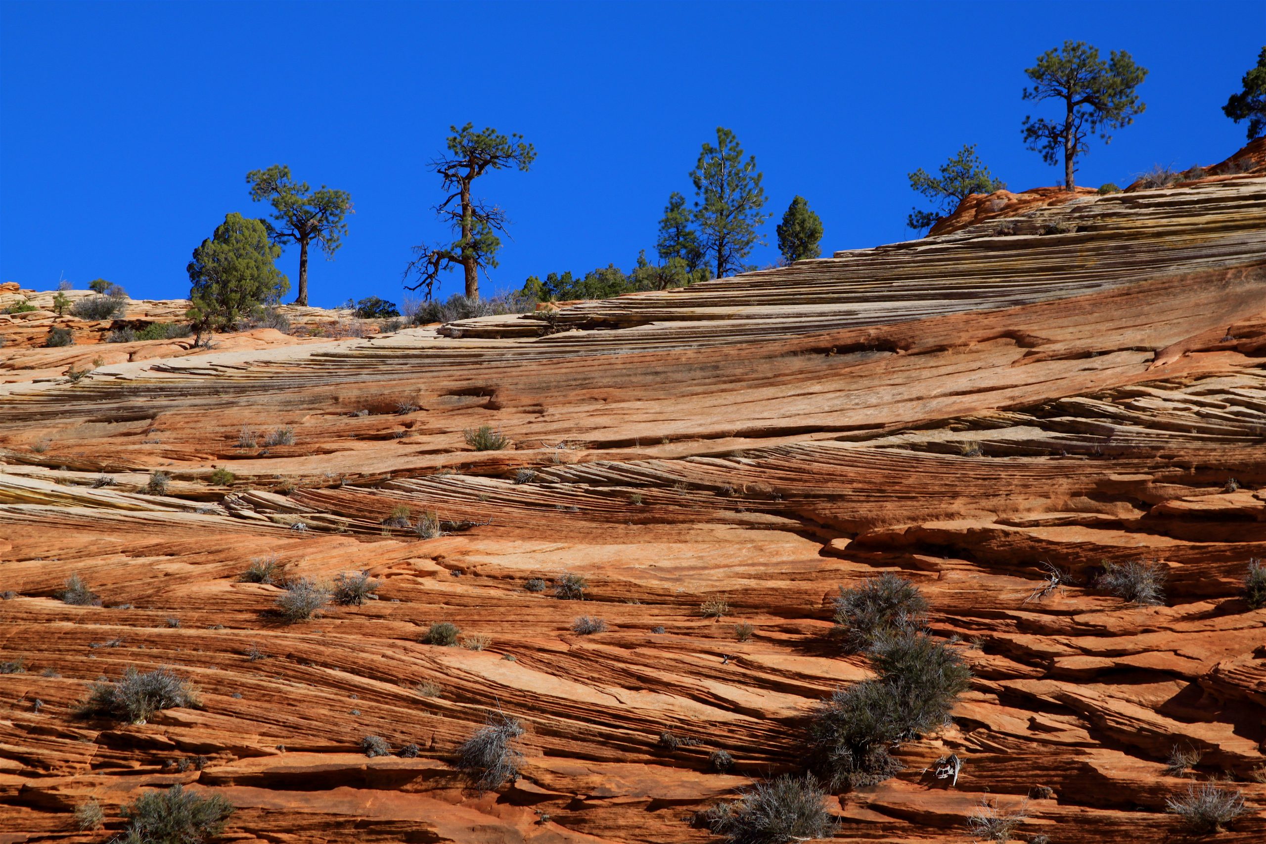 Tan sandstone with many thinly-bedded layers at various angles visible along the cliff face.