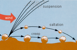 2D diagram showing how sand grains can travel by wind blowing on a sandy ground surface: the largest grains move along the ground surface and are labeled creep, slightly smaller particles bounce along the surface and are labeled saltation, and tiny particles that move through the air are labeled suspension.