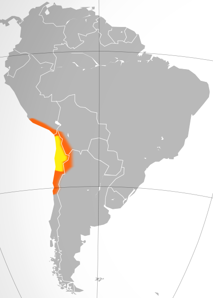 Map of South America with the Atacama Desert colored yellow and orange: the desert is located along the coast of west-central South America.