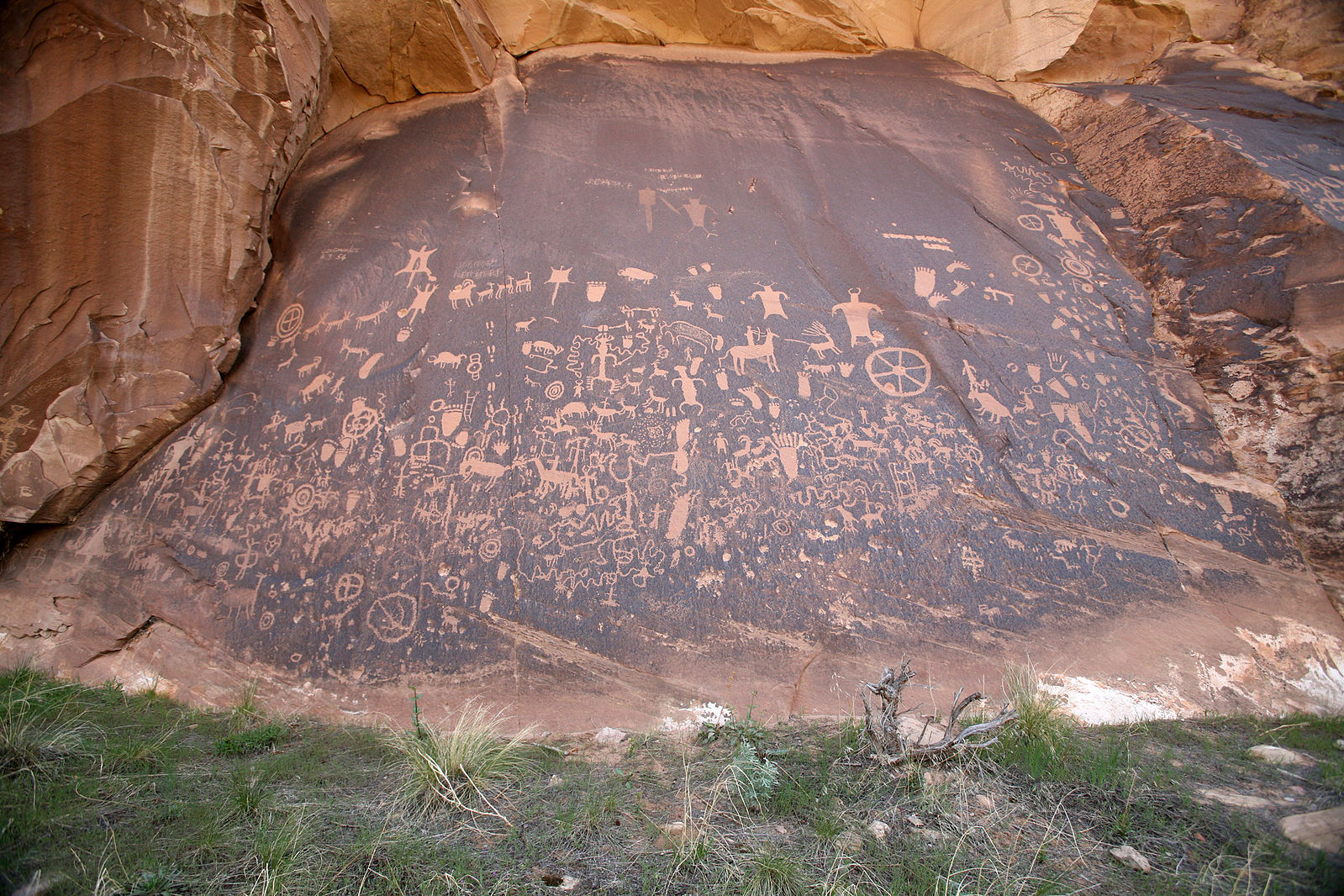 The rock is dark brown with tan petroglyphs carved into it.