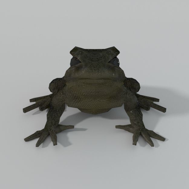 Warty Frog royalty-free 3d model - Preview no. 1