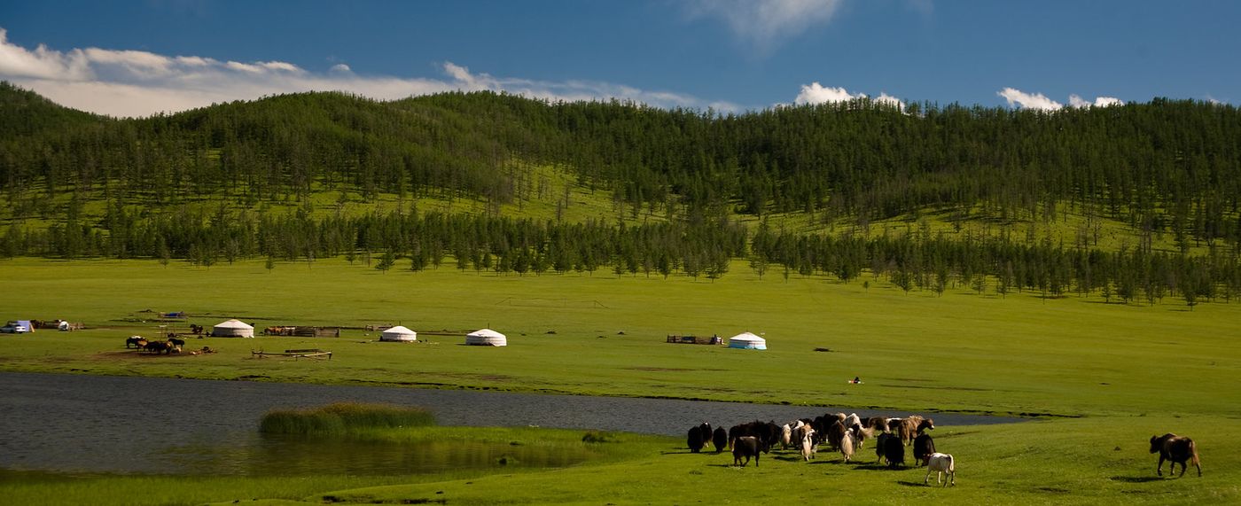 Image of Mongolia