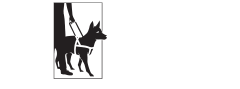 The Seeing Eye Fans