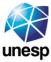 UNESP