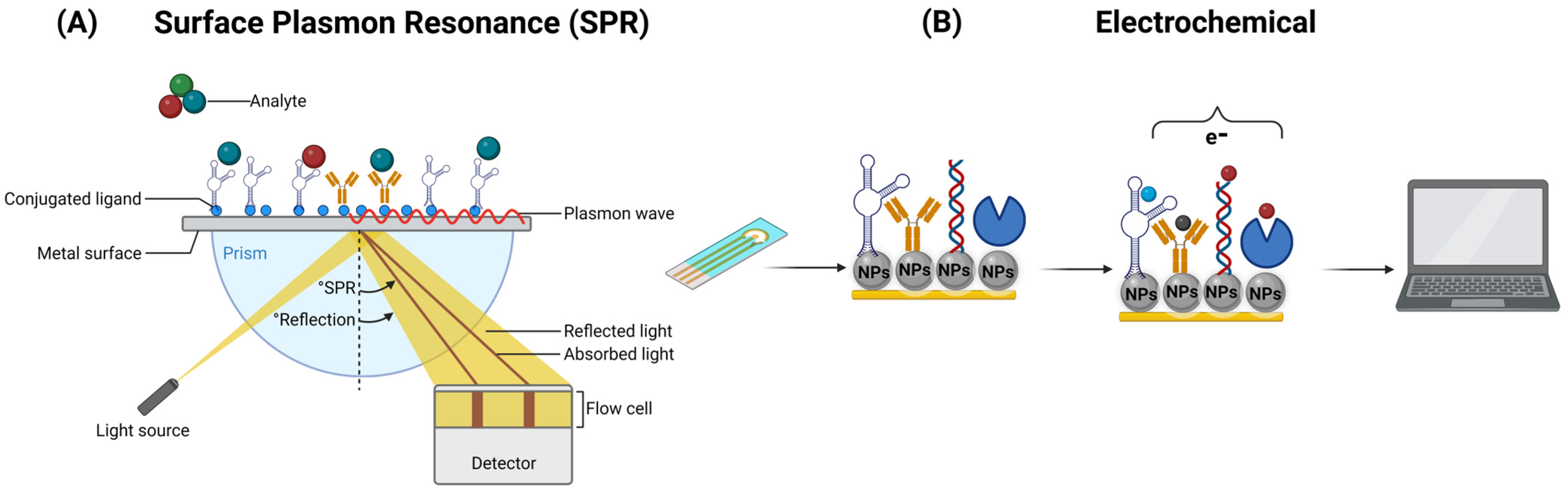 Biosensors | Free Full-Text | Emerging Applications of Nanobiosensors ...