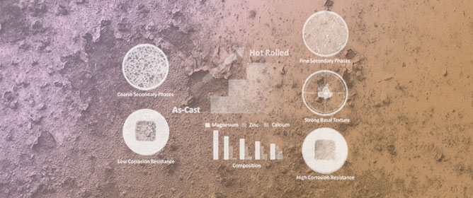 Enhancing Mg Alloys for Bioimplants: Zn/Ca Ratio and Texture Synergy for Corrosion Resistance