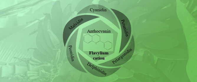 Extraction, Isolation, Identification, and Characterization of Anthocyanin from Banana Inflorescence by Liquid Chromatography-Mass Spectroscopy and Its pH Sensitivity