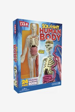 Smart Lab You Explore It: Human Body Model