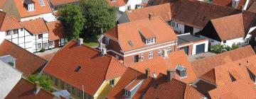 Bed & breakfast-steder i Ribe