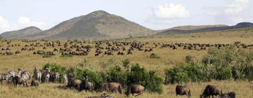 Hôtels à Réserve nationale du Masai Mara