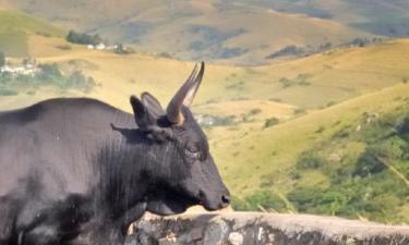 Billige ferier i Juazeiro do Norte