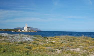 Πτήσεις από Αθήνα προς Όλμπια