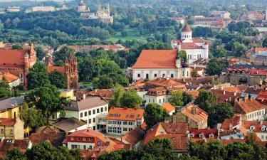 Voos de Rio de Janeiro para Vilnius