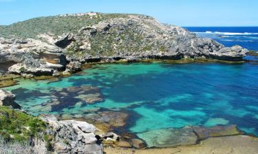 Qué hacer en Rottnest Island