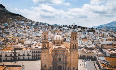 Lemmikkiystävälliset hotellit kohteessa Zacatecas