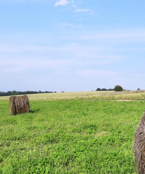 O imagine frumoasă din Læsø