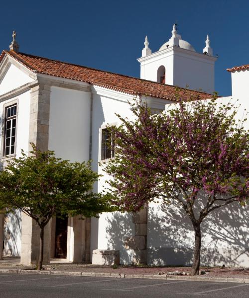 Una panoràmica bonica de Santarém