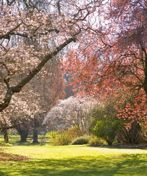 Permandangan indah di Christchurch