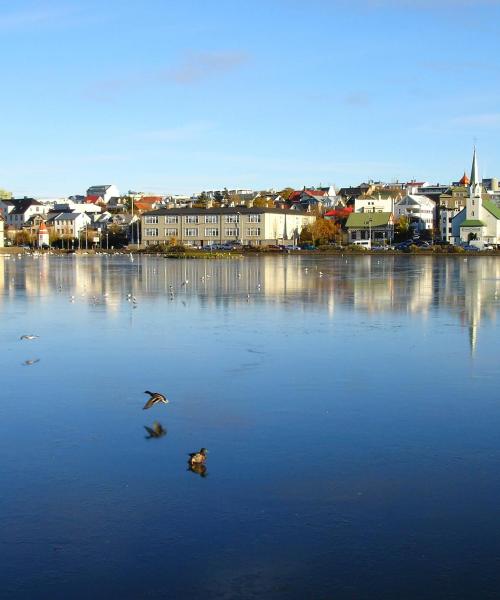 Et flott bilde av Reykjavík