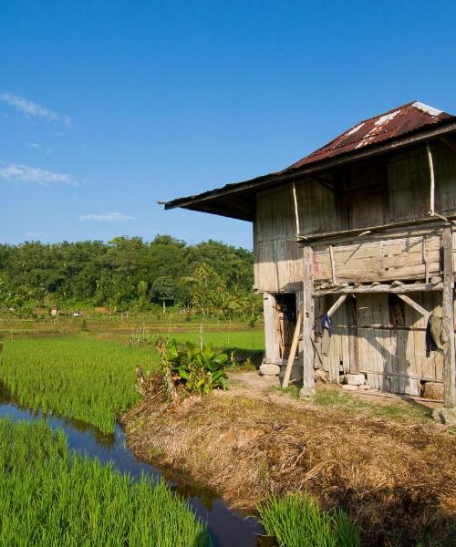 Una panoràmica bonica de Bandar Lampung