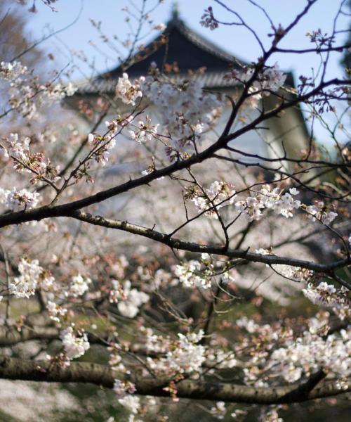 A beautiful view of Koriyama