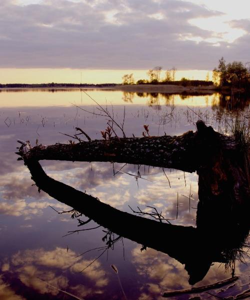 A beautiful view of White Bear Lake.