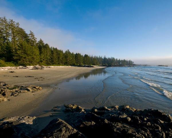 Una bellissima vista di Tofino