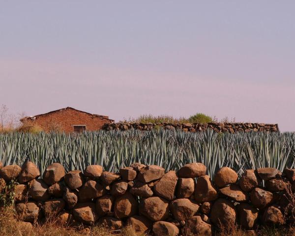 Kaunis näkymä kaupungista Santiago de Tequila