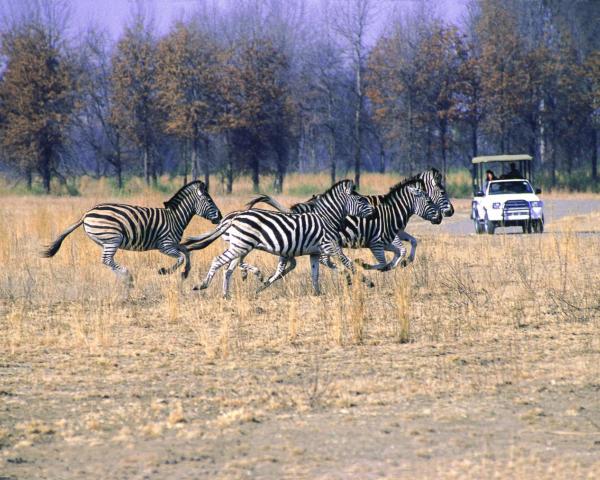 Predivan pogled na grad 'Vanderbijlpark' 