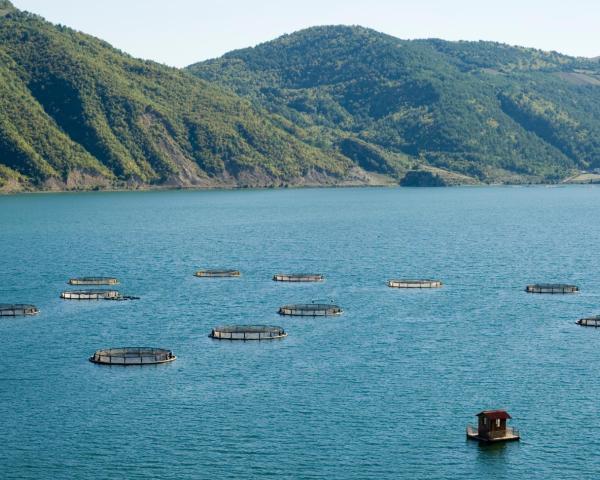 Гарний краєвид міста Самсун