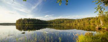 Voli da Roma alla Finlandia