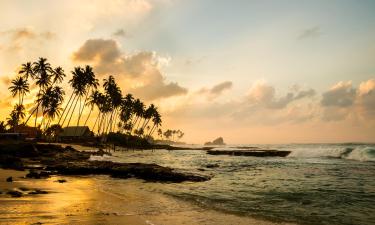 Flyg från Maldiverna till Sri Lanka