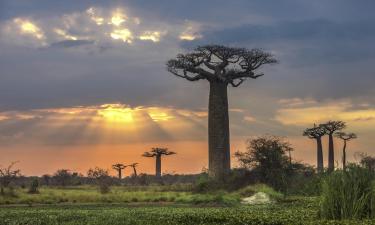 Skrydžiai iš Reunjono į Madagaskarą