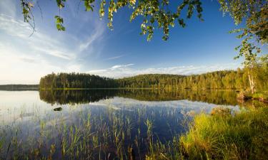 Voli dall'Italia alla Finlandia