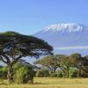 Mga flight mula the Comoros papuntang Tanzania