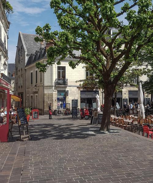 Zona de Tours en la que prefieren quedarse nuestros clientes.