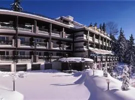 Hôtel de la Forêt, hotel in Crans-Montana