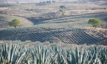 Lennot kohteeseen Jalisco