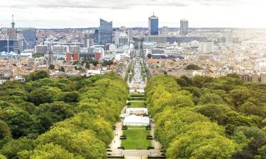 Zboruri către Regiunea Bruxelles