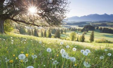 Vols pour la région : Bayern