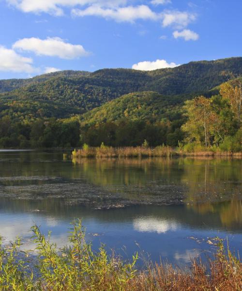 Гарний краєвид на регіон South Carolina