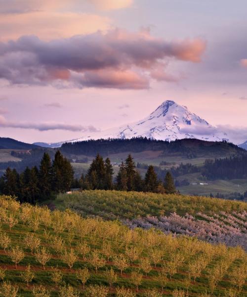 Gražus regiono Oregonas vaizdas