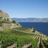 Günstige Mietwagen in der Region Okanagan Valley