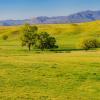 Günstige Mietwagen in der Region San Diego County