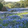 Location de voiture pas chère dans la région : Texas Hill Country