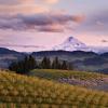 Günstige Mietwagen in der Region Oregon