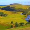 Zboruri către South Brazil