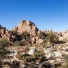 Авиабилеты в регион Joshua Tree National Park