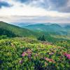 Günstige Mietwagen in der Region Tennessee