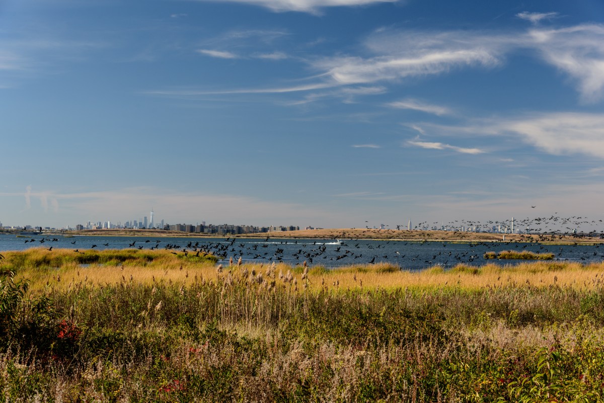 Fall on Jamaica Bay